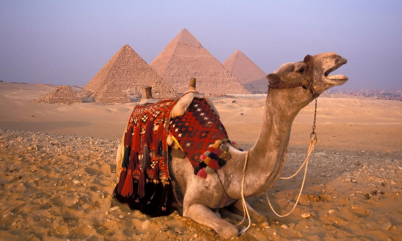 Your top 6 questions about tours to Egypt answered