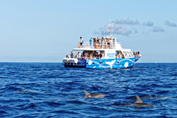 A group of tourists on a whale watching trip in the Indian Ocean