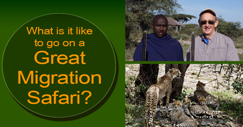 What is it like to go on a Great Migration Safari?