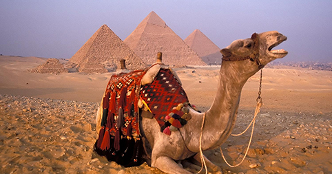Your top 6 questions about tours to Egypt answered