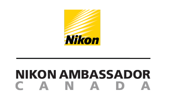 Nikon Ambassador Logo