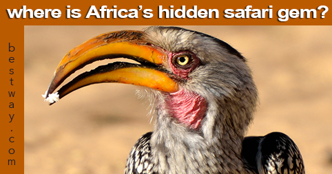Where is Africa's hidden safari gem?