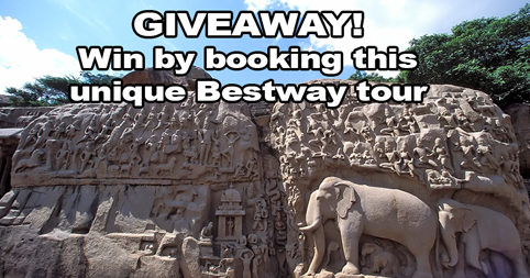 Giveaway! Win by booking this unique Bestway Tour