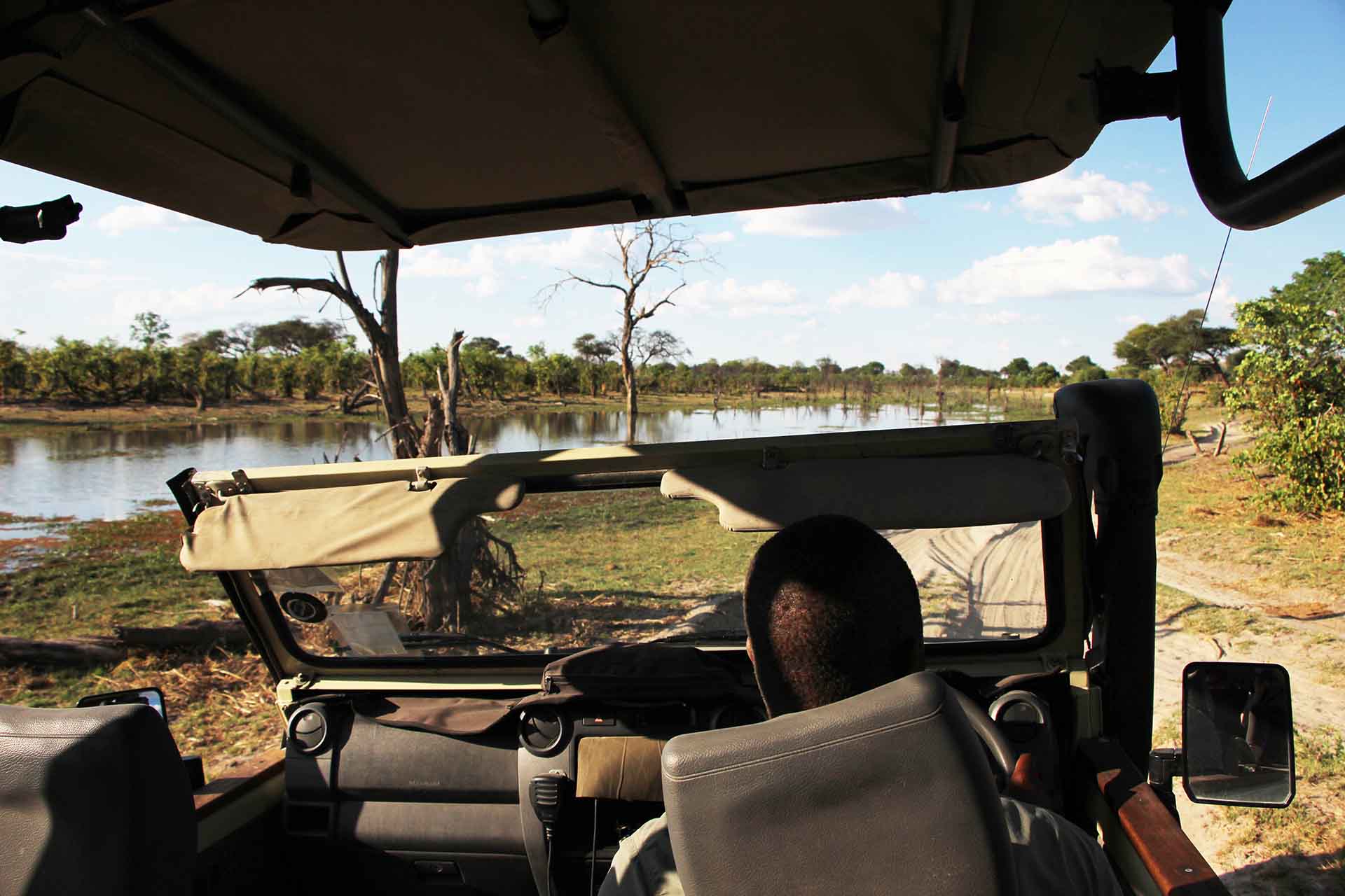 An expert guide and driver is a key part of a safari in Botswana