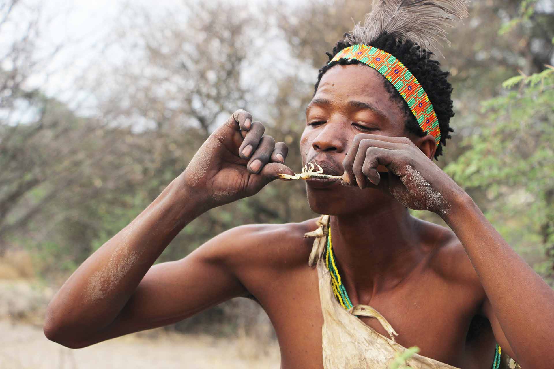 A member of Botswana’s San community handles a small scorpion