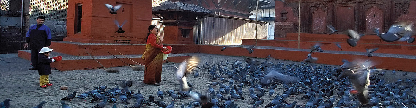 Pigeons on the square at the Jagannath Temple, Kathmandu, Madhyamanchal (Central Region), Nepal