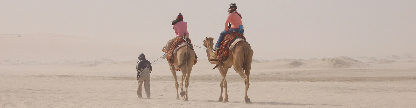 Tourists take a ride on camels, Qatar