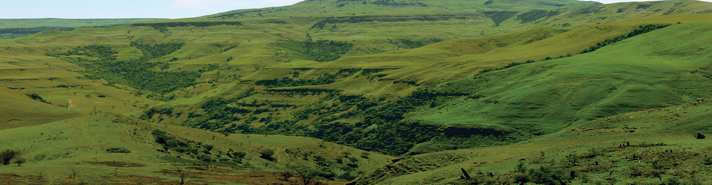 Green valley hills in Zululand