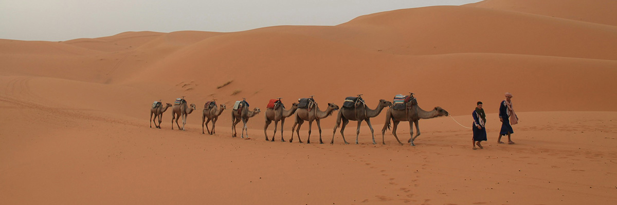 World Heritage Tour of Morocco