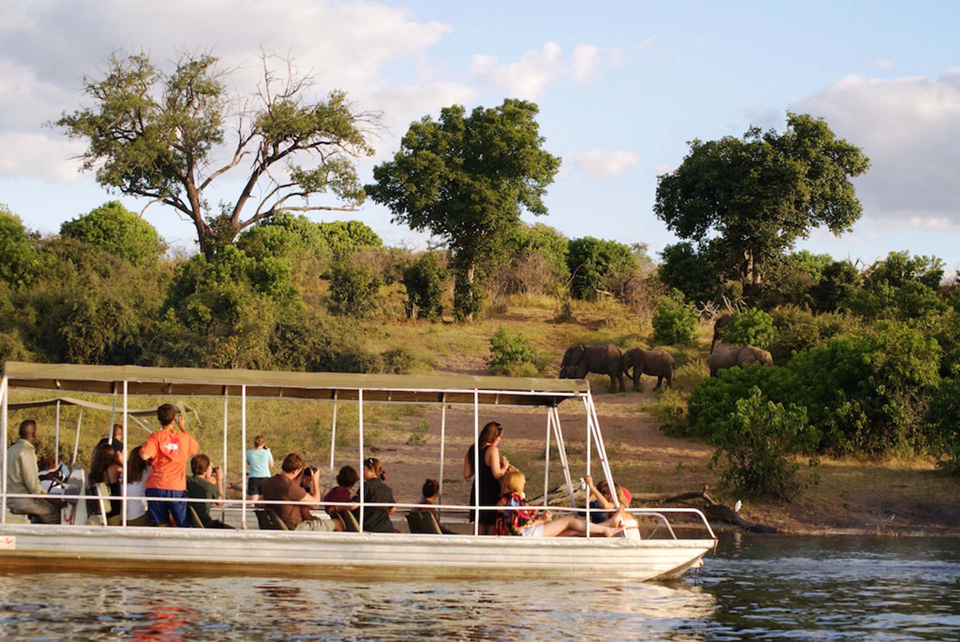 A boat with tourists on Chobe River in Botswana watching elephants