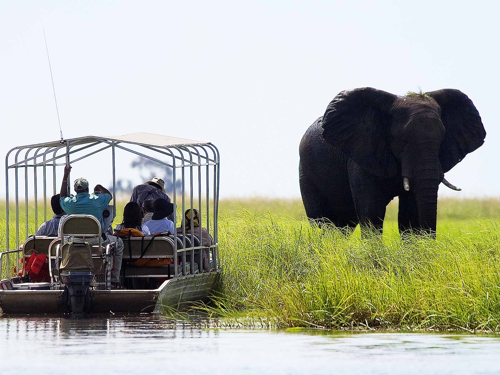 Discover Botswana Wildlife Safari with Victoria Falls