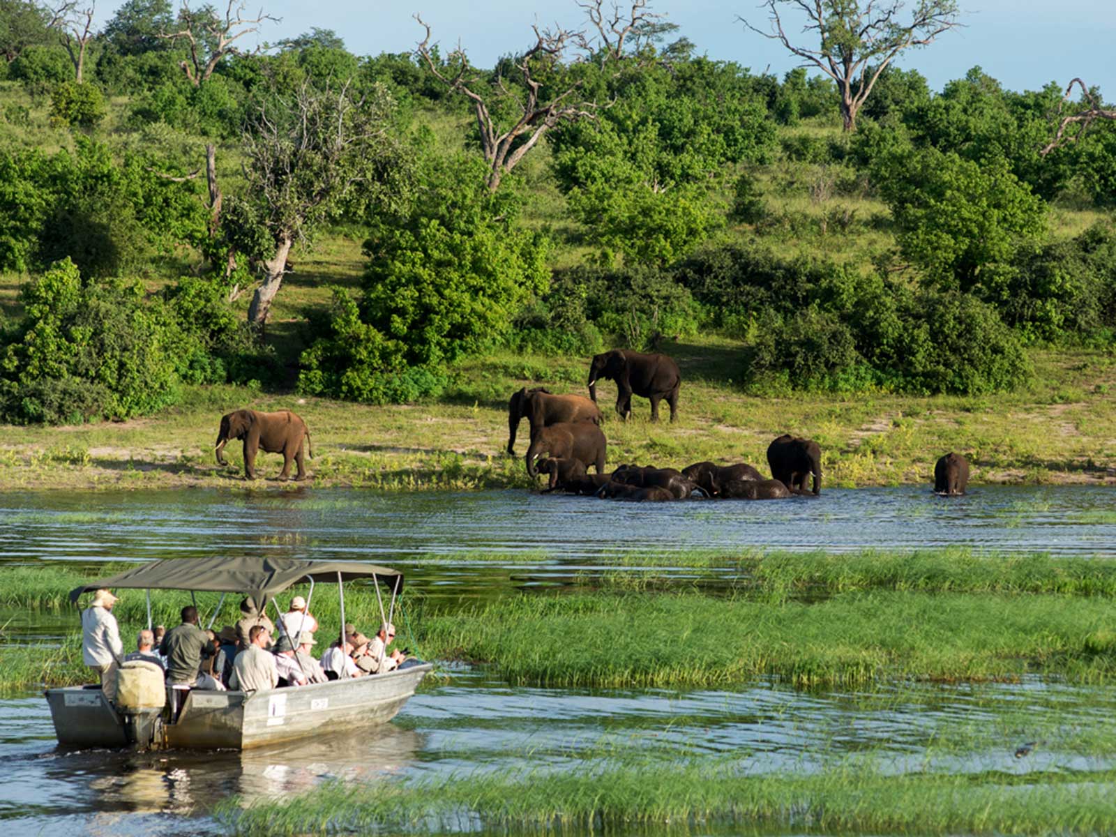 Botswana Safari Escape</a>