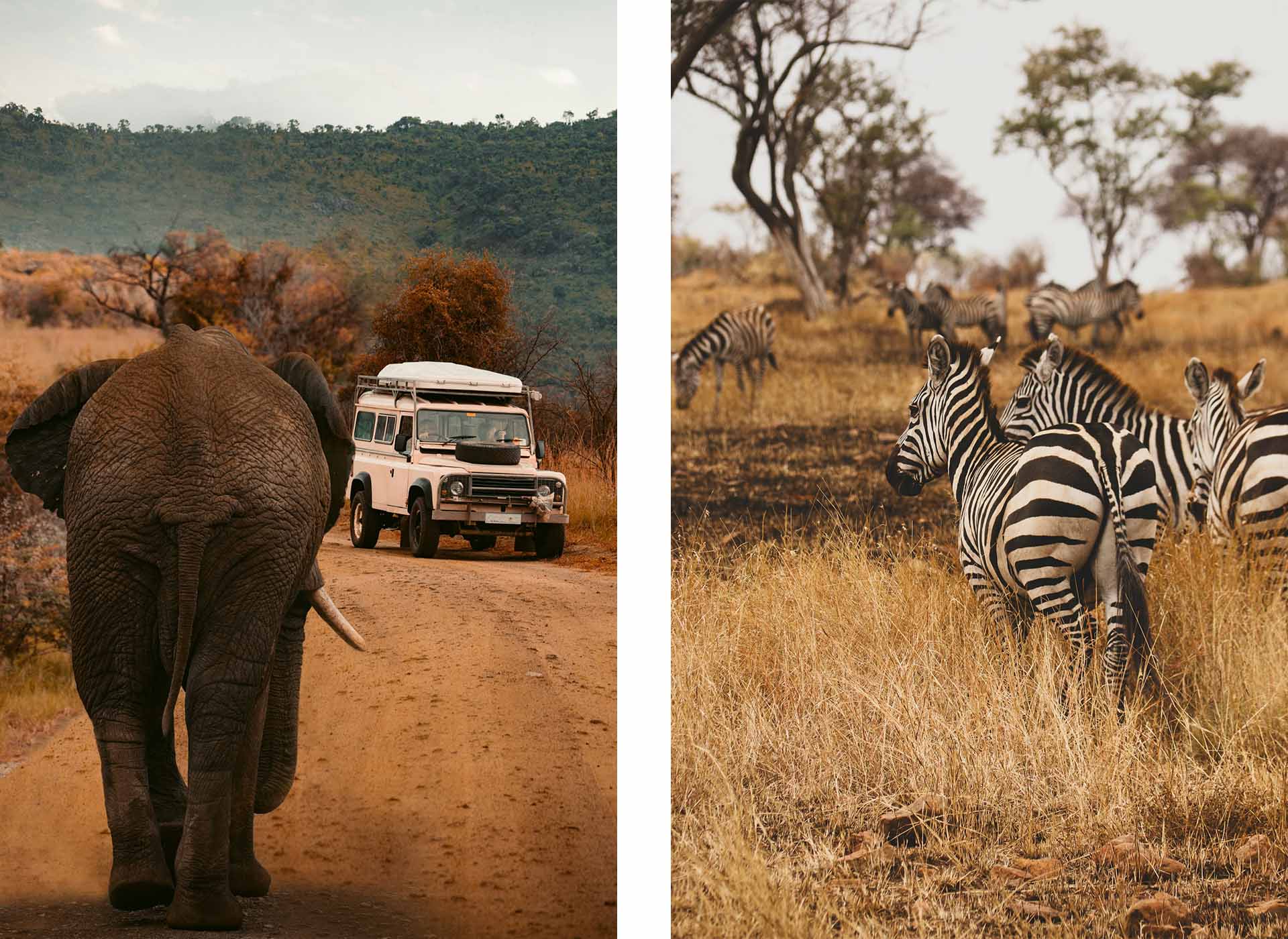 Tsavo West National Park, Kenya