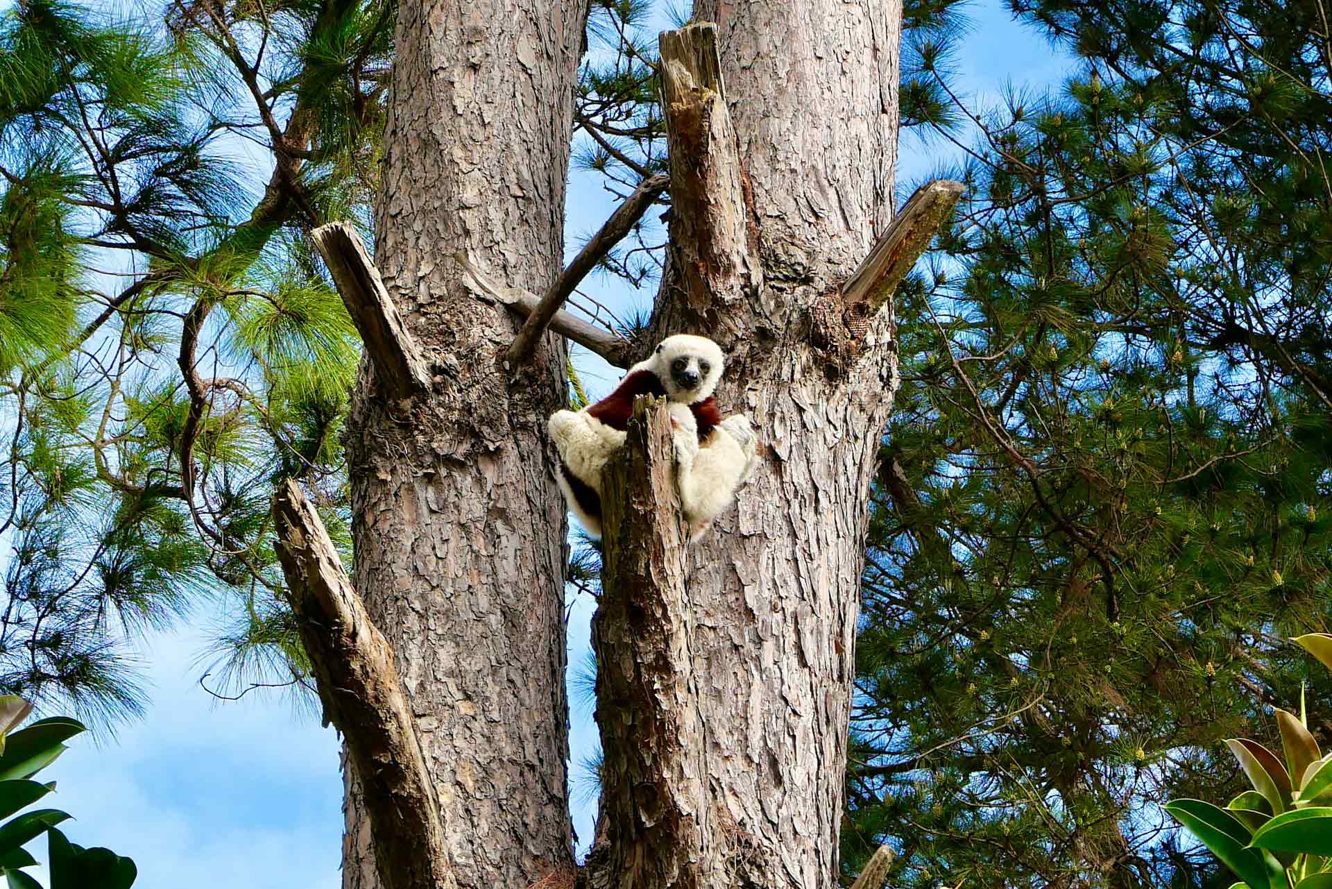 Antananarivo, Madagascar