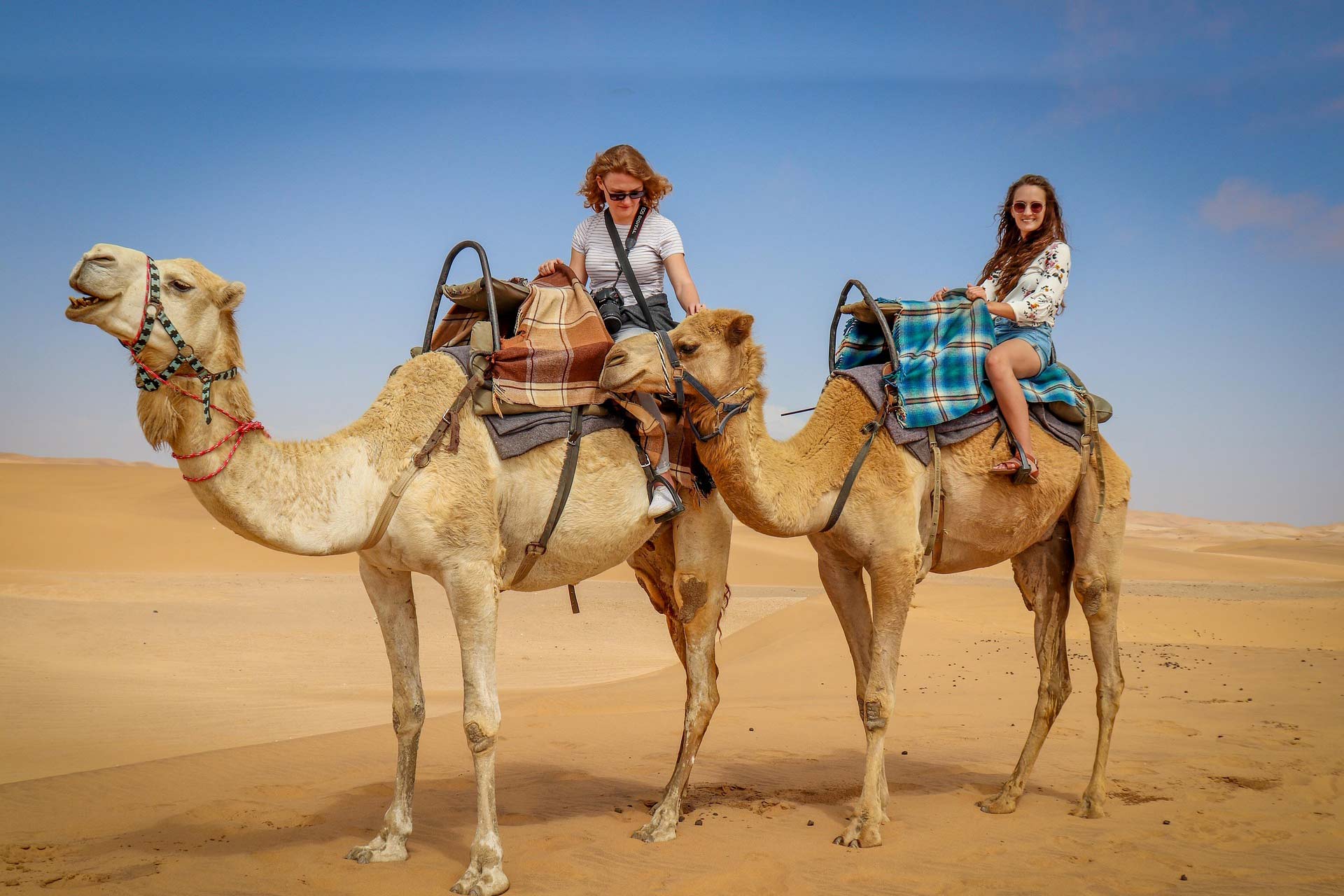 West African Expedition: Senegal to Sahara