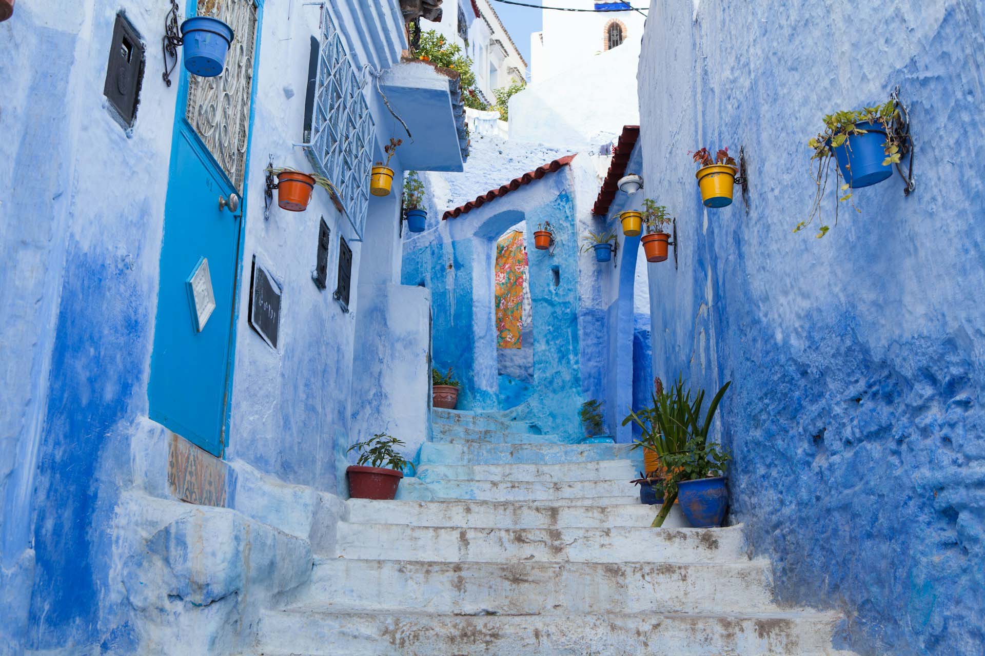 Blue staircase and wall decorated with colorful flowerpots, Chefchaouen, Morocco