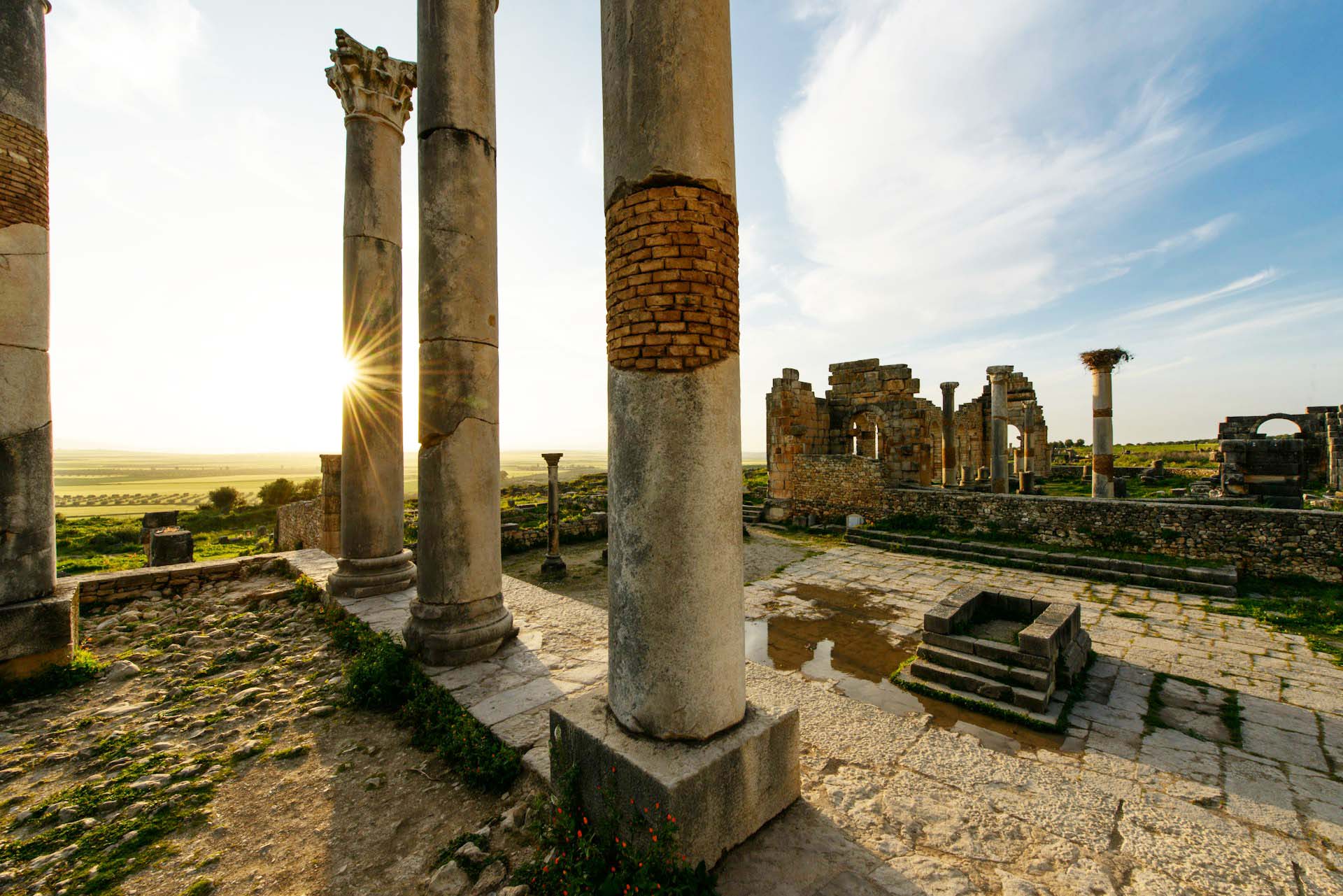 Roman ruins in Volubilis, Morocco