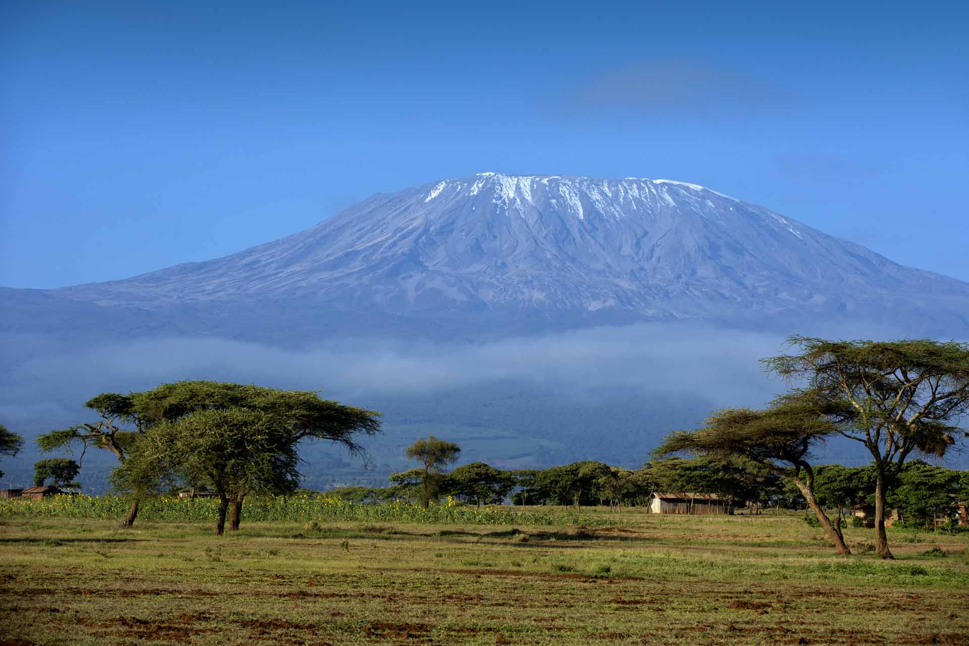 Snow on top of Mount Kilimanjaro in Amboseli