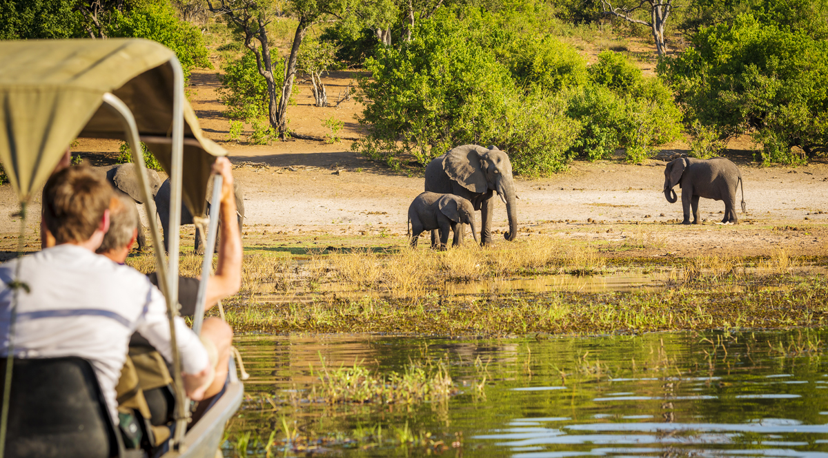 Tourists watching an elephant while on safari