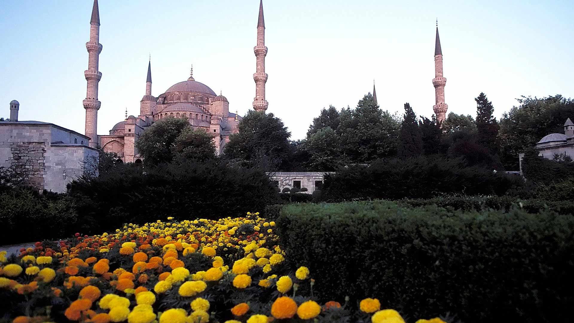Sultan Ahmed Mosque (Blue Mosque), Istanbul, Türkiye (Turkey)