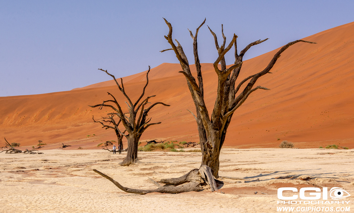 Dead Vlei in the southern part of the Namib Desert, in the Namib-Naukluft National Park of Namibia