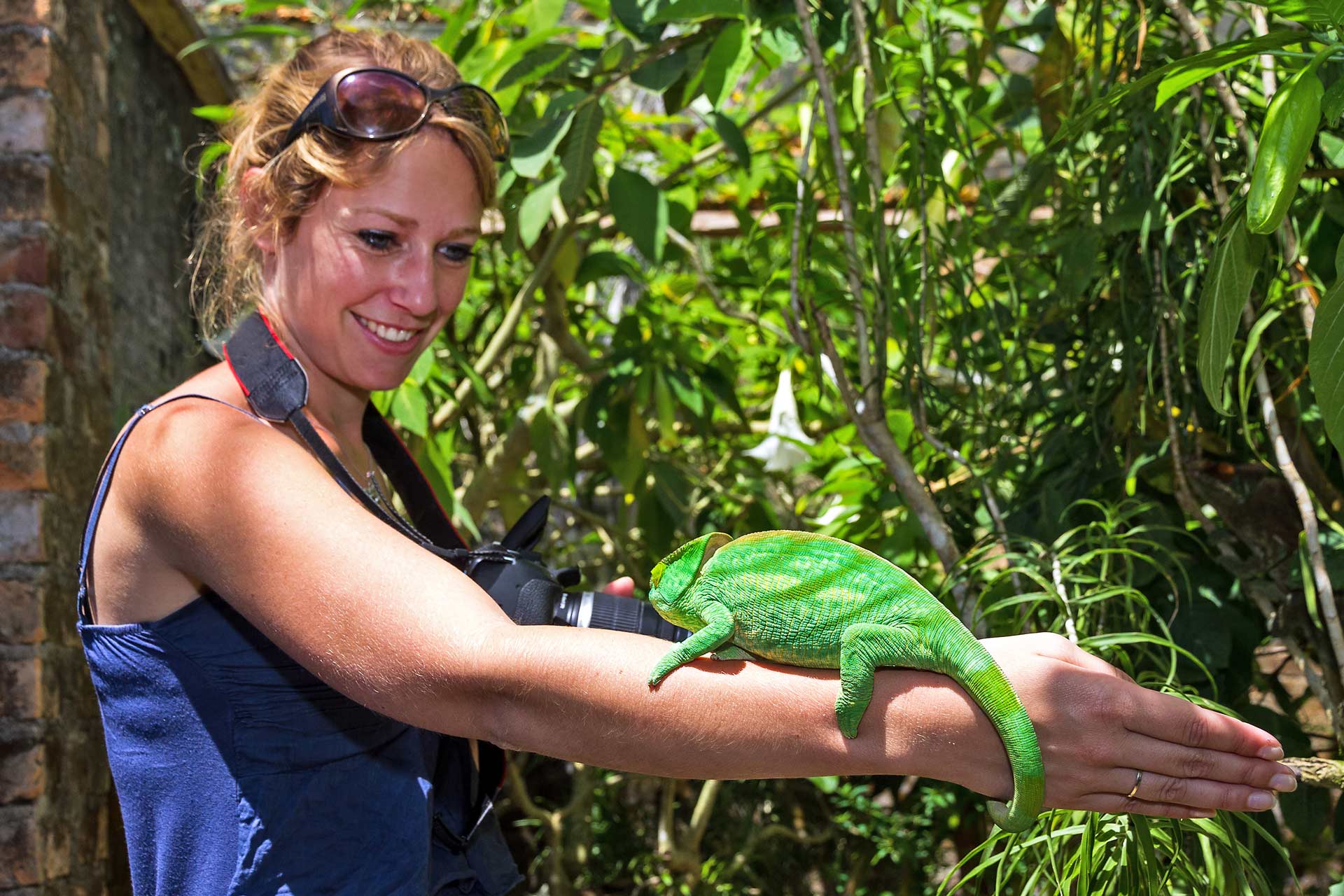 Beautiful woman exploring and having fun with chameleon species in Madagascar