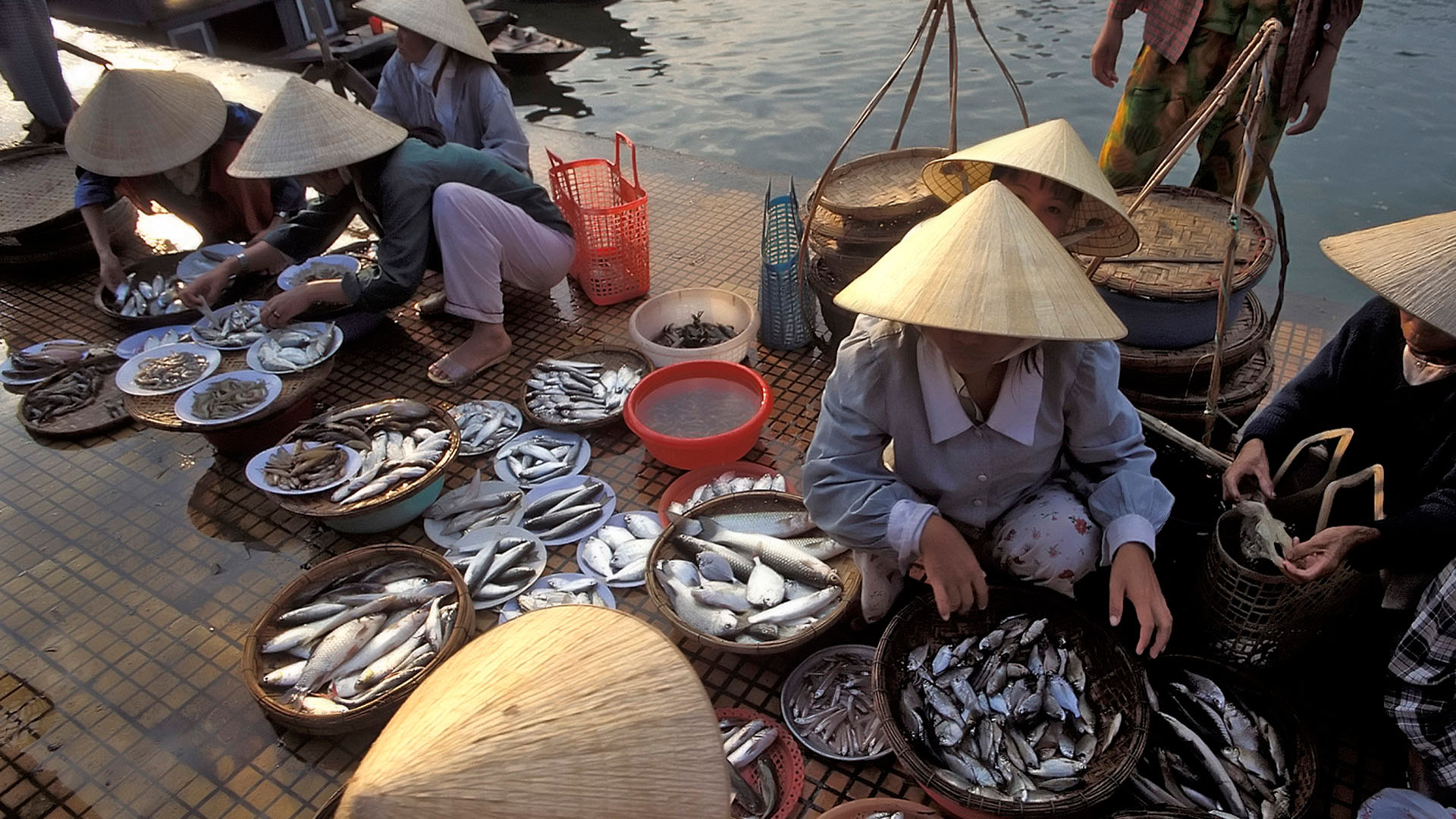 Woman wearing a conical hats at the fish market, Hoi An, Quang Nam, Vietnam