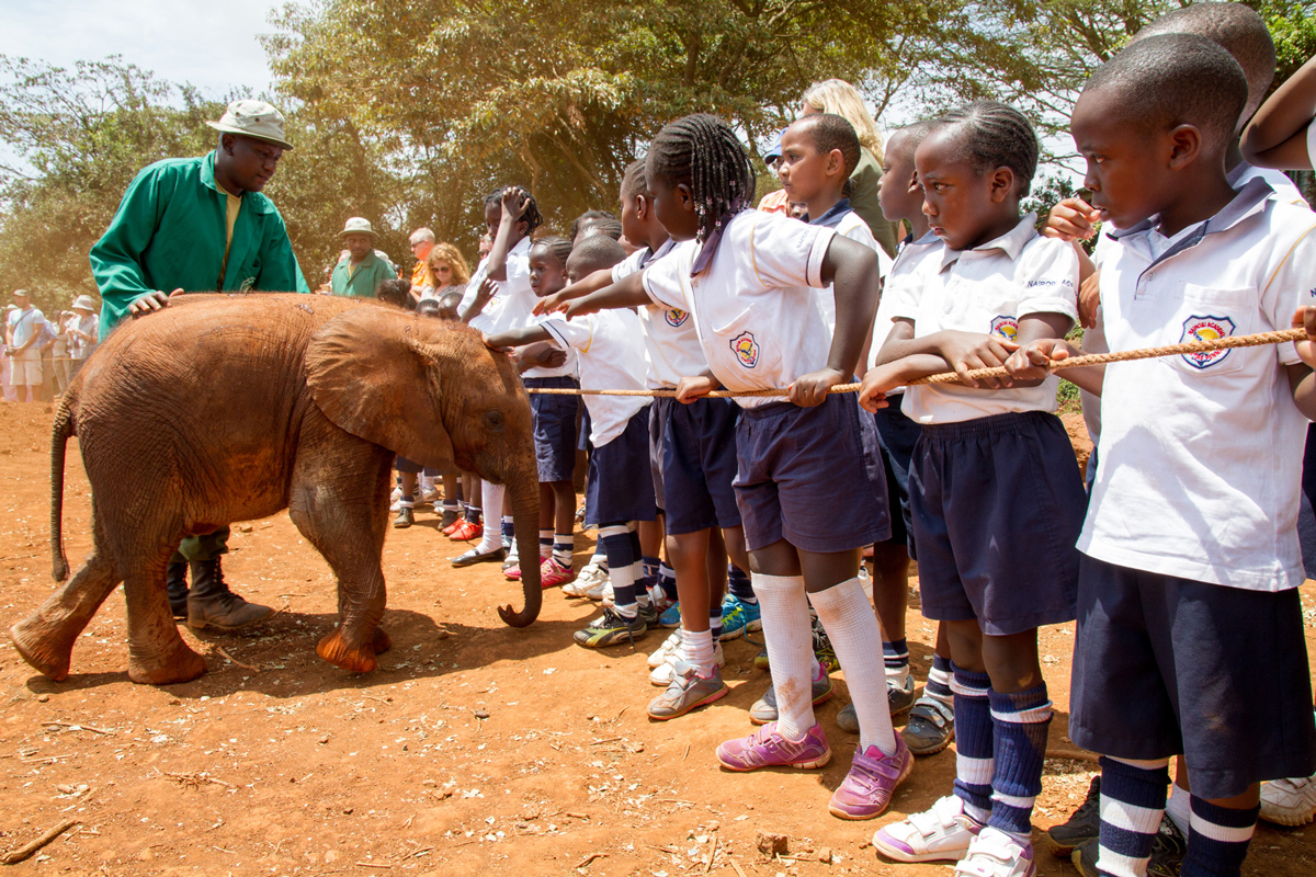 Schoolchildren watching an orphaned African elephant