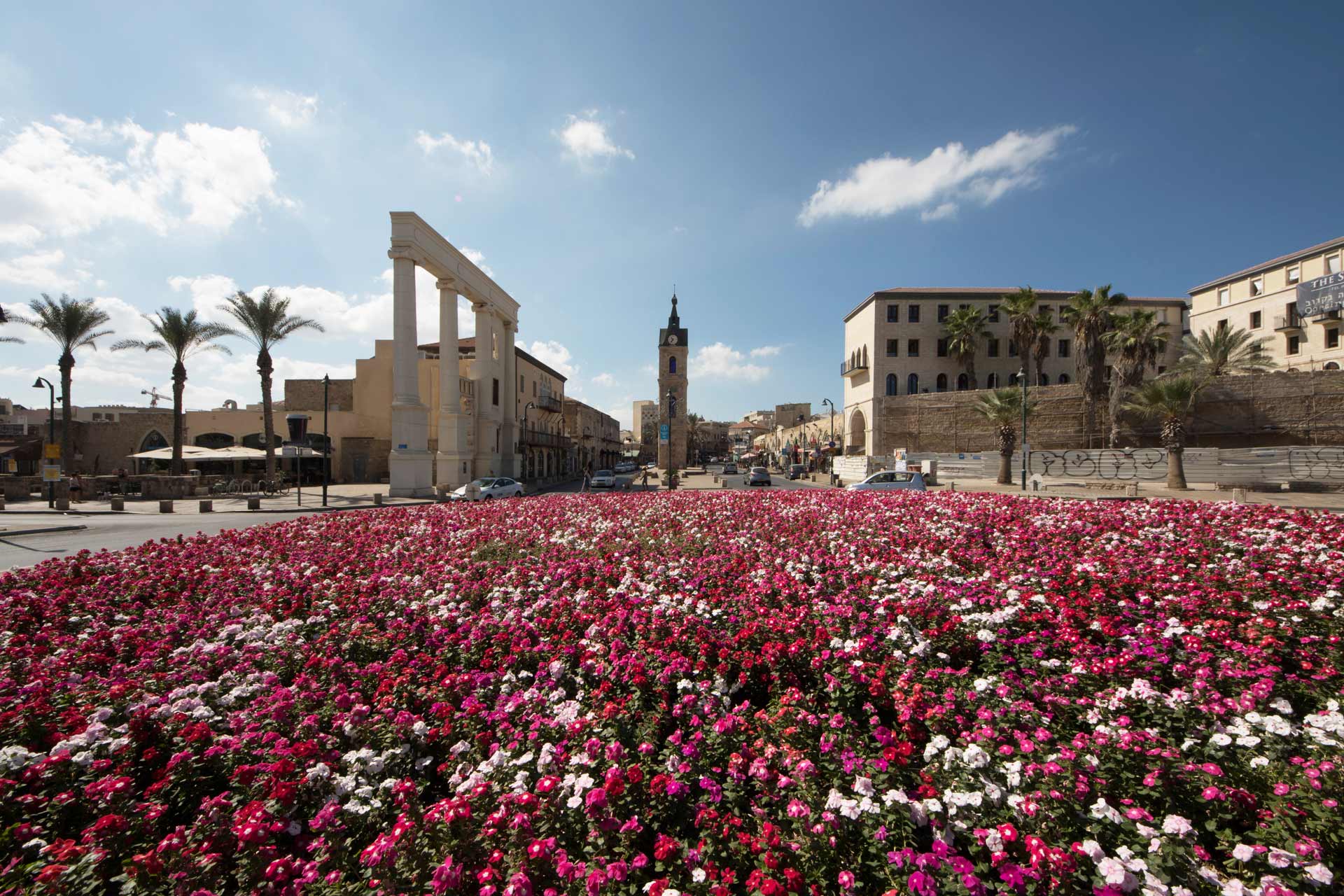 HaShaon Square, Jaffa, Israel
