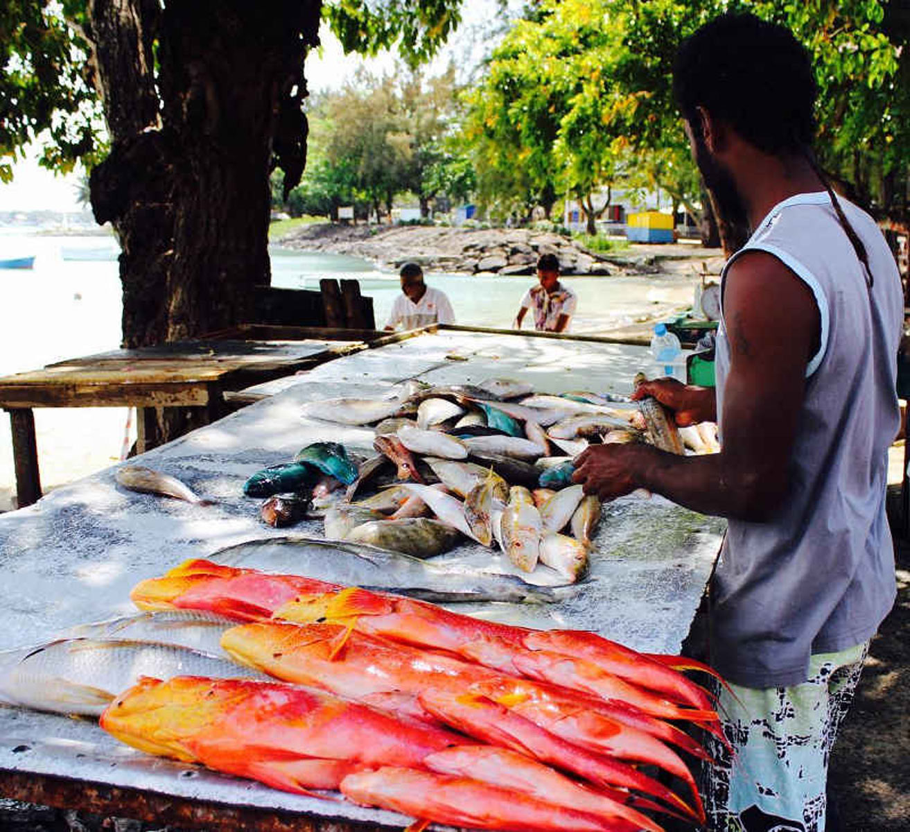 local fishermen on market sort the fish caught at night then ready to sell it in fresh local market
