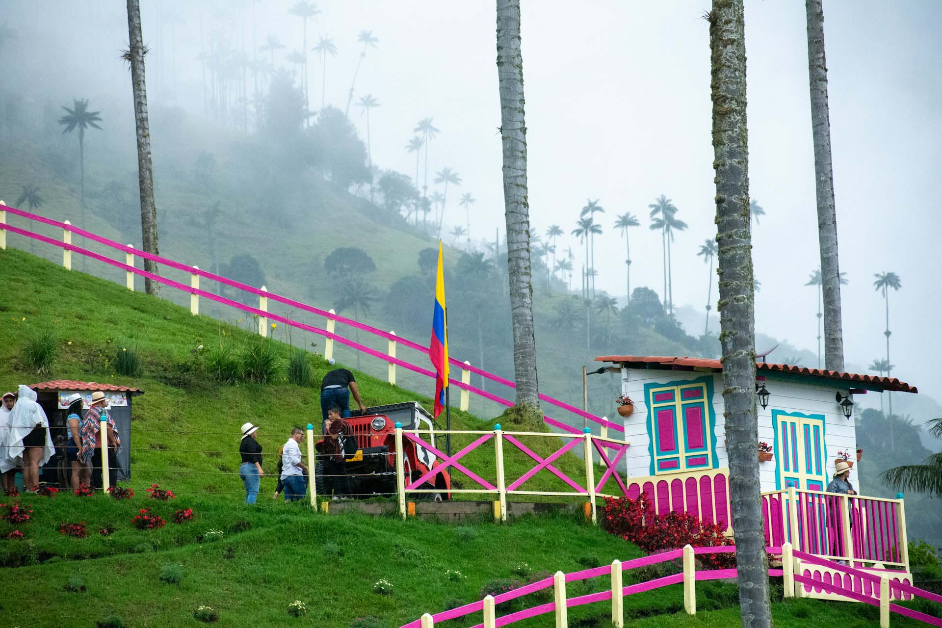 The Cocora Valley is a stunning valley located in the department of Quindío, in the heart of Colombia's Coffee Region
