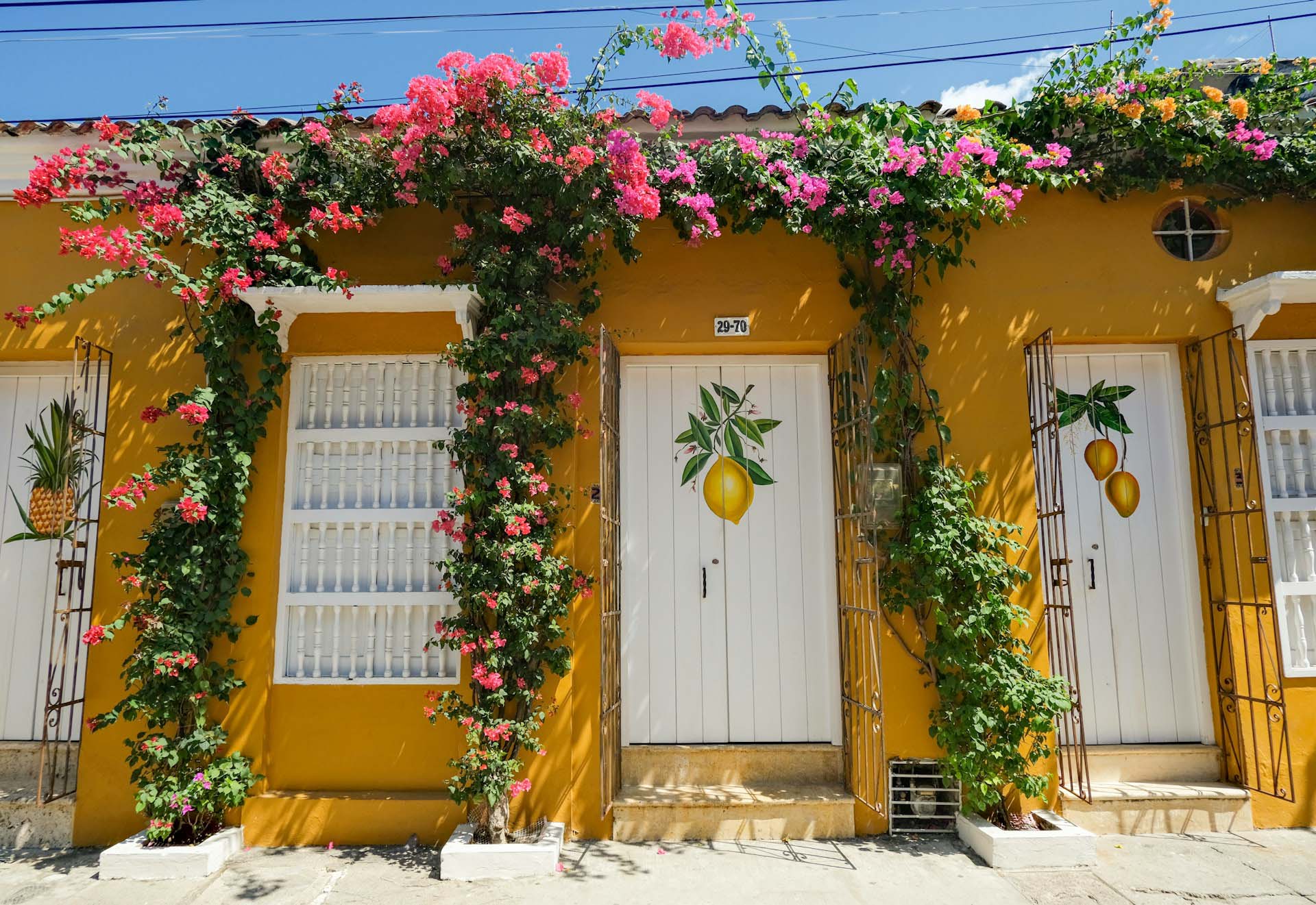 Colorful house facades with balconies and flowering plants in the Gethsemane neighborhood of Cartagena on a sunny day, Colombia