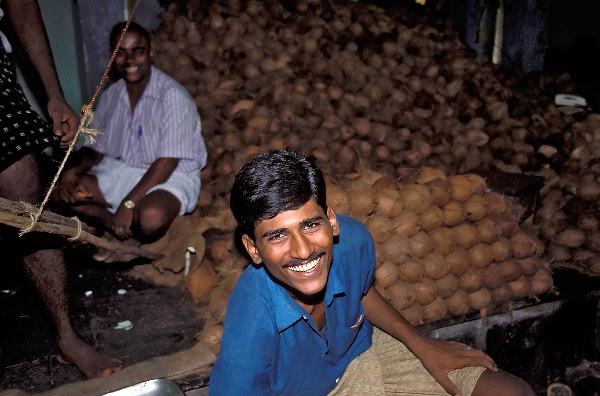 Coconut vendors at the Flower & Fruit Bazaar, Chennai, Tamil Nadu, India