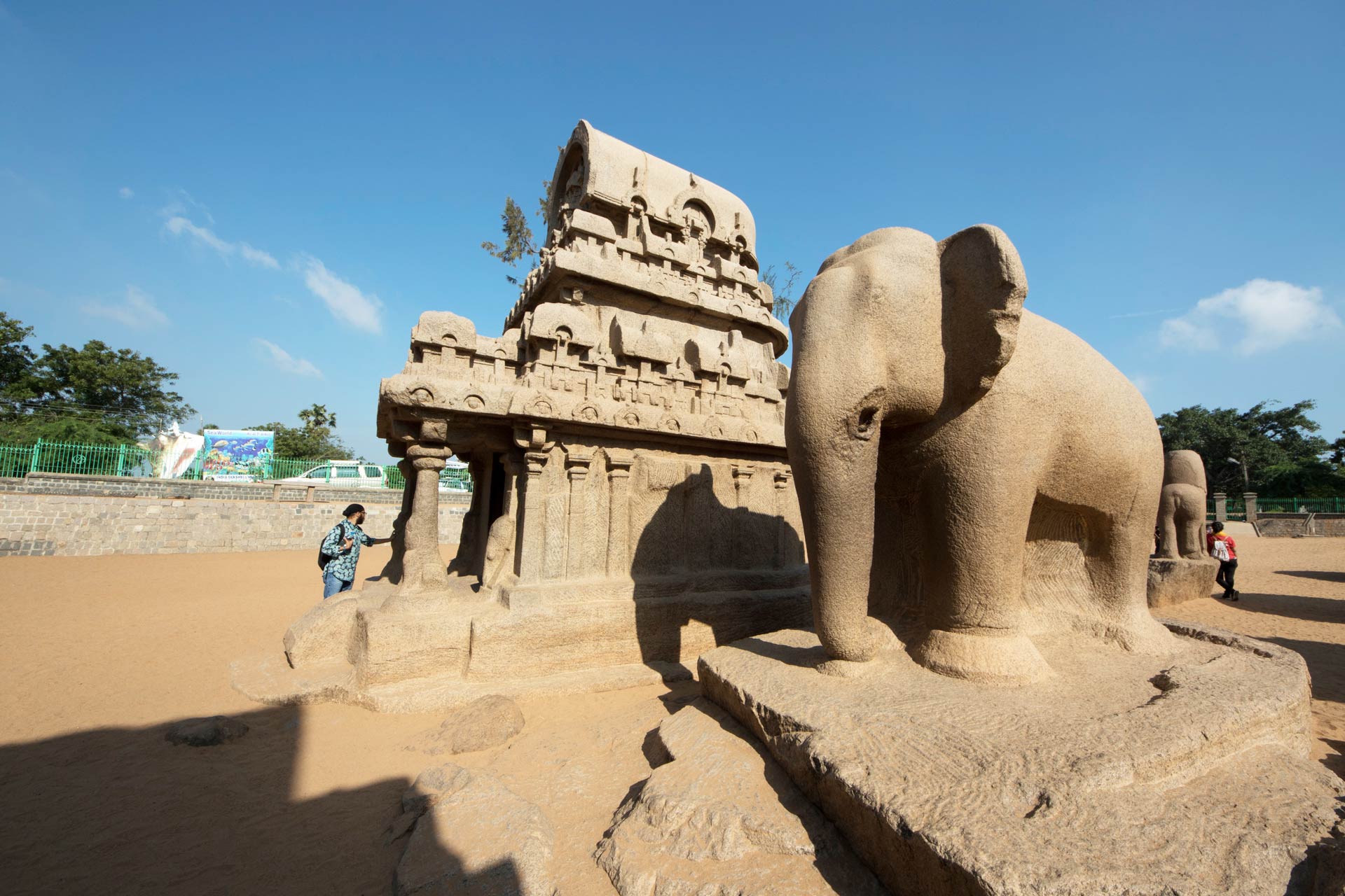 Elephant sculpture next to Nakula Sahadeva Ratha at Pancha Pandava Rathas, Mahabalipuram, Tamil Nadu, India