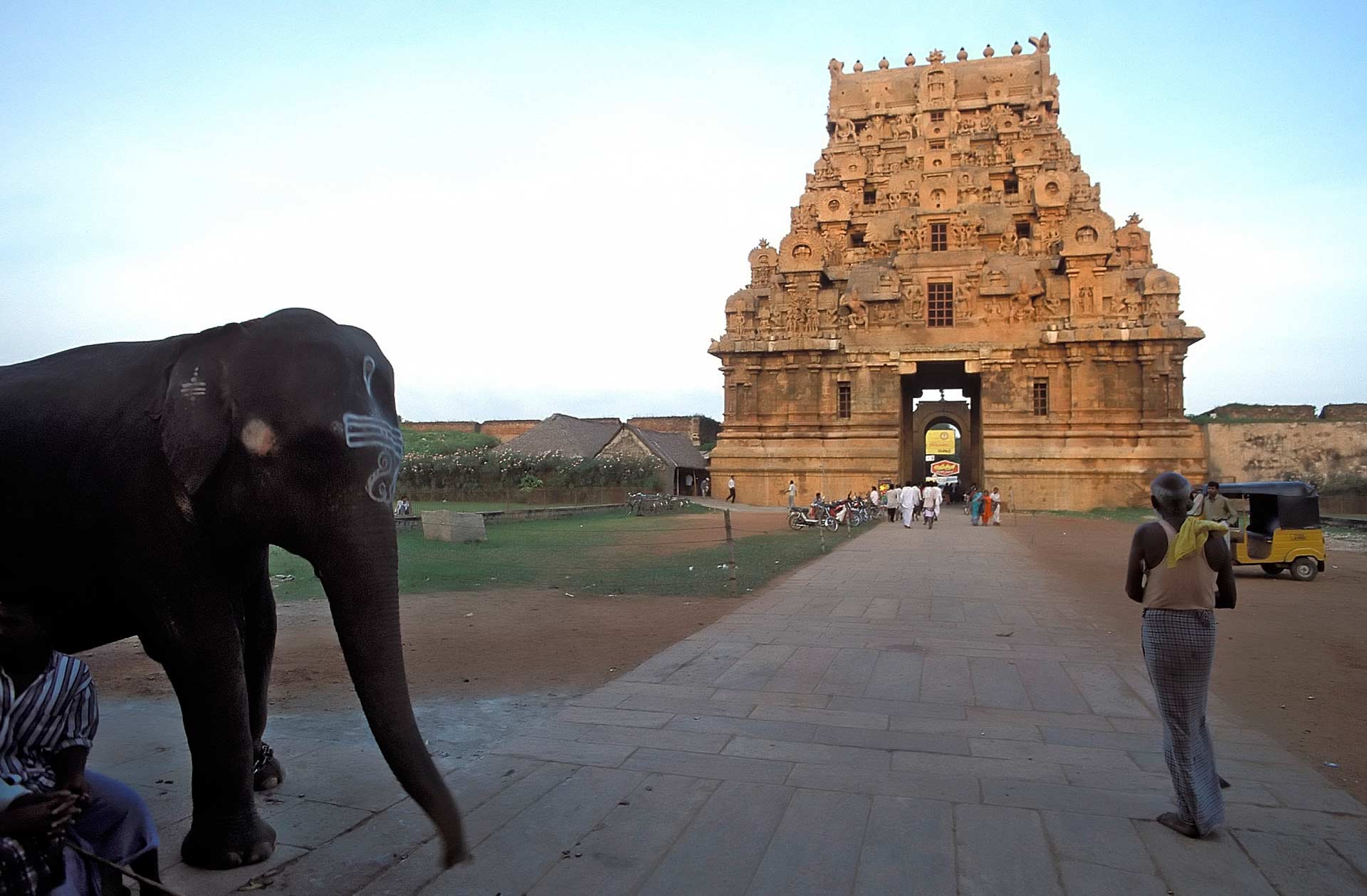 Temple elephant and Second Gopuram of the Brihadisvara Temple, Thanjavur, Tamil Nadu, India