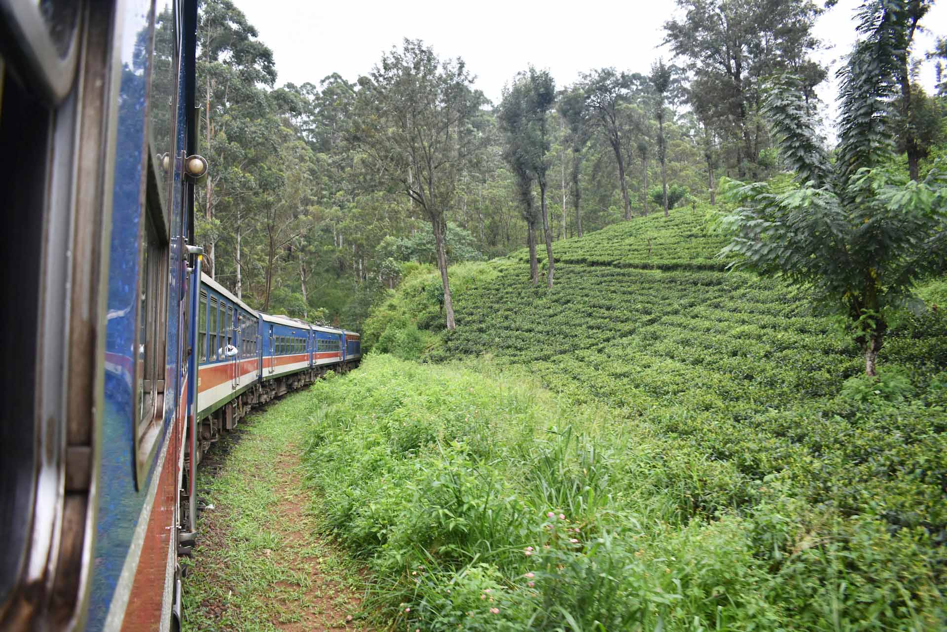 Train from Kandy to Ella, Sri Lanka. 