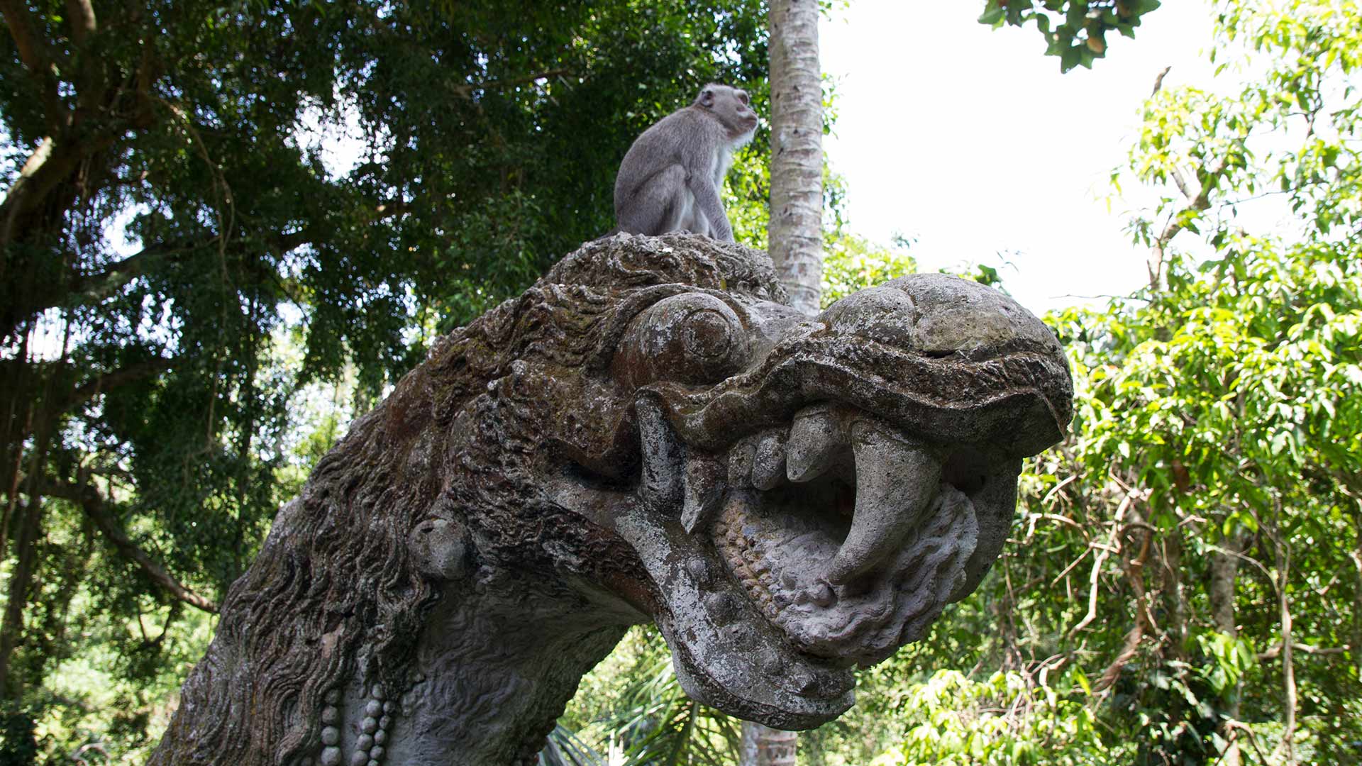 Ubud, Bali, Indonesia