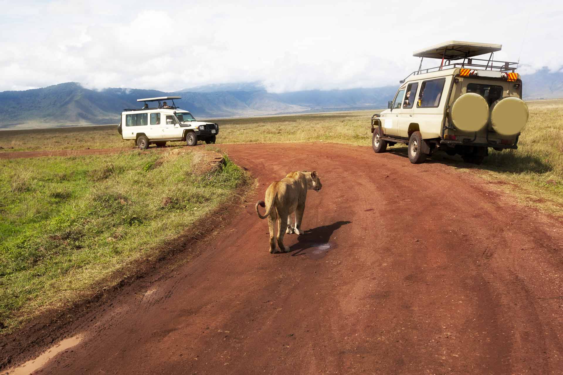 east africa safari tour