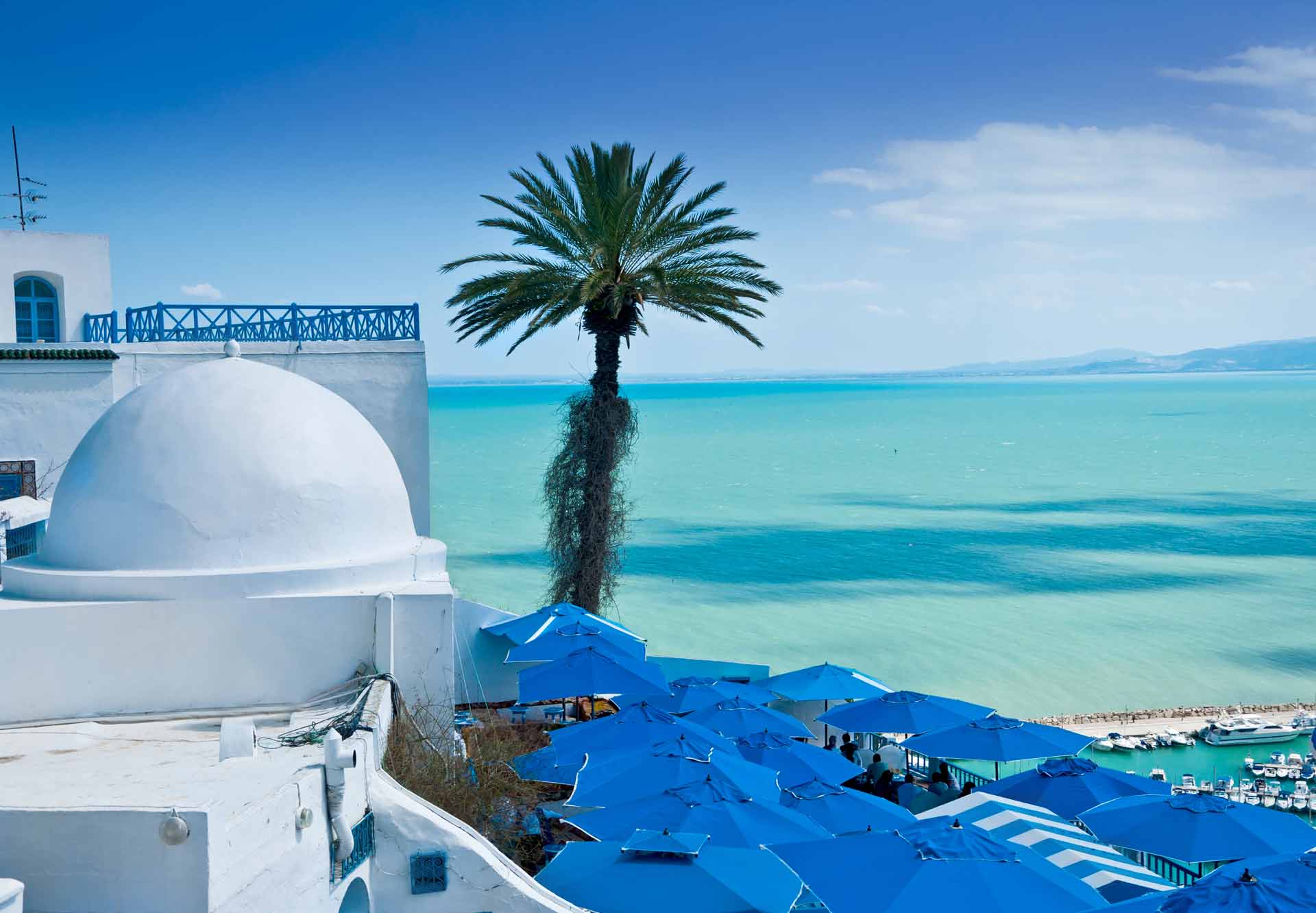Beautiful view over of seaside and white blue village Sidi Bou Said